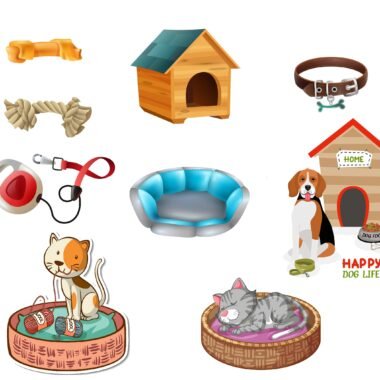 Pet Products in Turkey